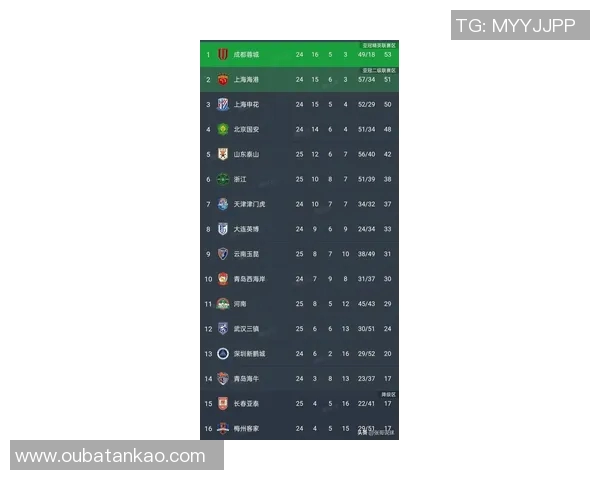 全国锦标赛最新积分榜杭州足球队以67分稳居榜首展现强劲实力