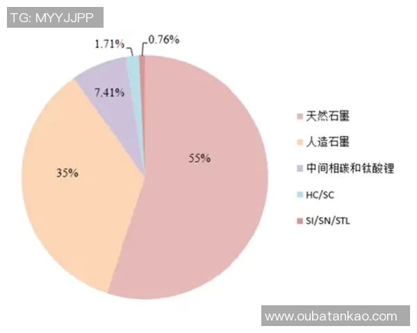 掸联与妙瓦底的对决分析及未来发展趋势探讨 掸联与妙瓦底的对决分析及未来发展趋势探讨