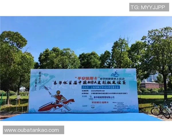 杭州排球队实力分析：聚焦技术与团队协作的完美结合MBA