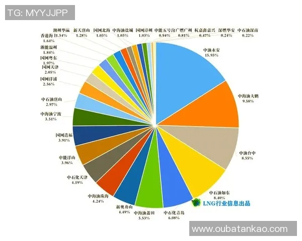 数据分析揭示LNG市场节奏变化及其对未来趋势的影响