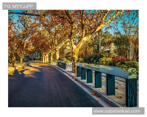 重庆滑板队的表现分析：控制技巧与失误的深度探讨